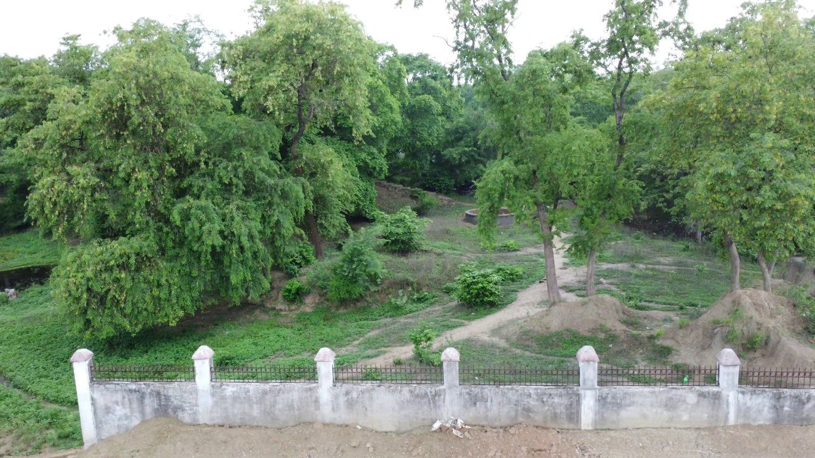 स्वास्थ्य  शिविर